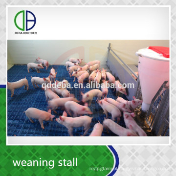 Equipamento de pecuária Pig Weaning Stall Pig Pen